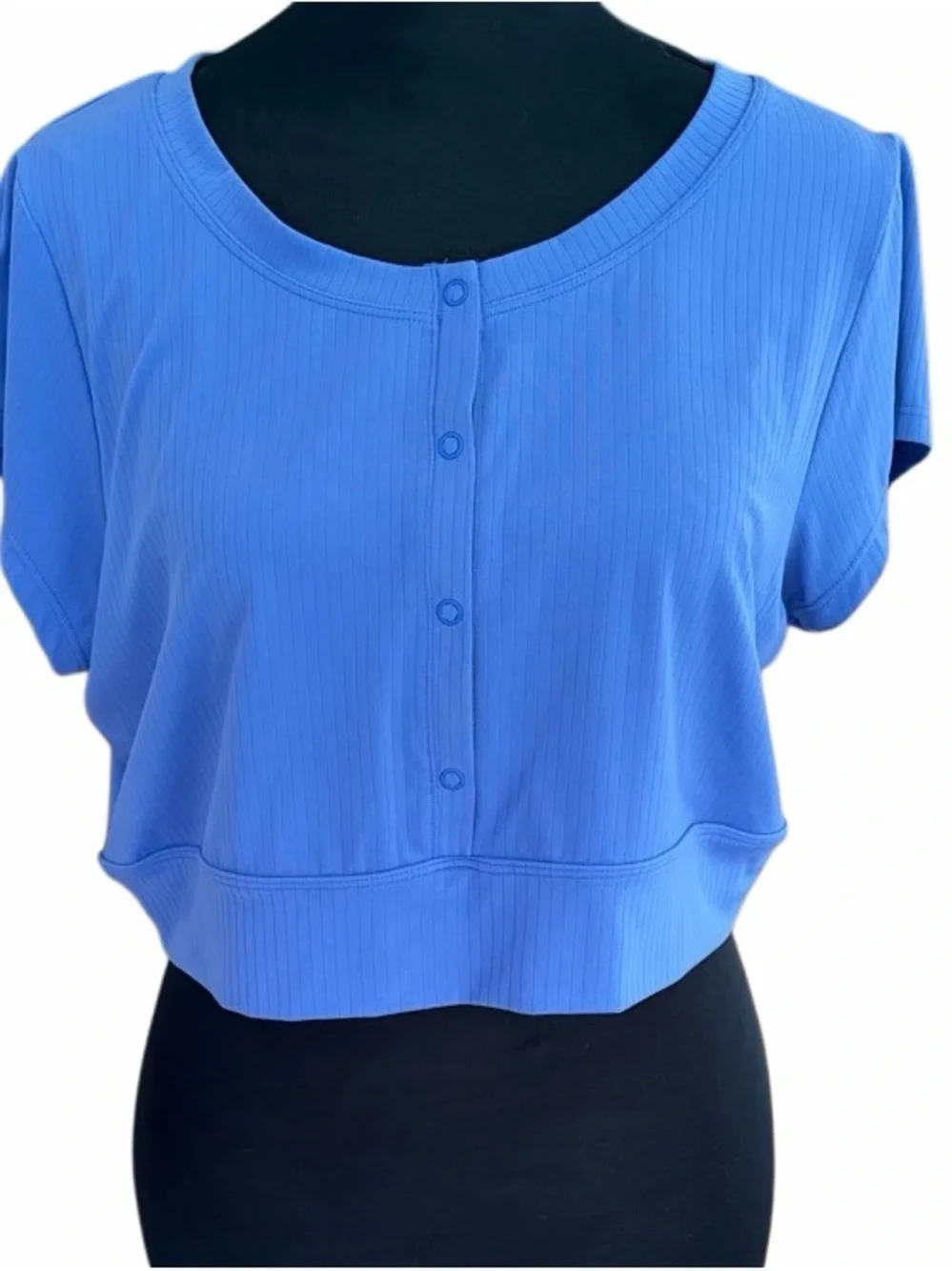 aerie Ribbed Henley Crop Top in Periwinkle Blue size L.